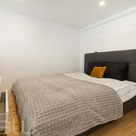 Loftas Dumu Fabrikas Вильнюс